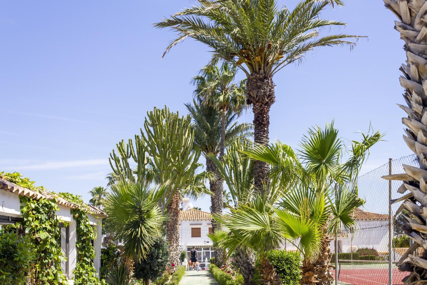 Bungalow Pink Palm Beach Torrevieja Ngoại thất bức ảnh